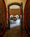 Castello di Selvole, wine cellar.webp