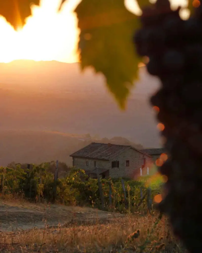 Castello di Selvole, sunset, Tuscany.webp