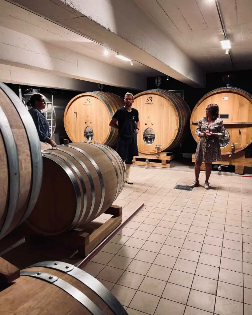 Champagne Louis Brochet, aging cellar.webp