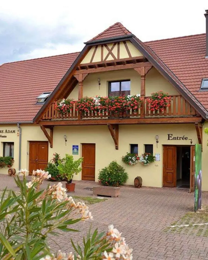 domaine-pierre-adam-experience .webp