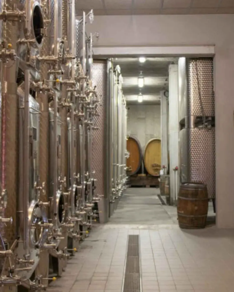 domaine pierre adam cellar experience.webp
