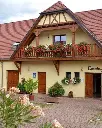 pierre adam domaine alsace tour in vineyards.webp