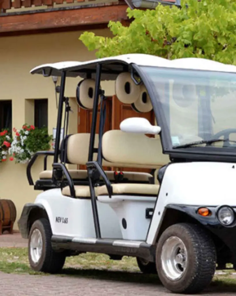 Tour of the vineyard in an electric vehicle.webp