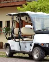 Tour of the vineyard in an electric vehicle.webp