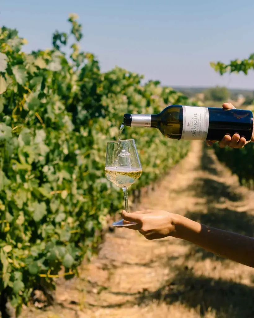 Casa Relvas, terroir.webp