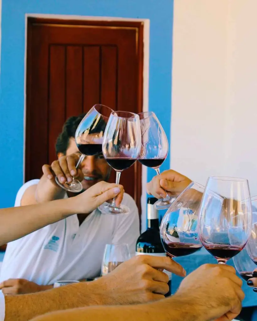 Casa Relvas, wine tasting experience.webp