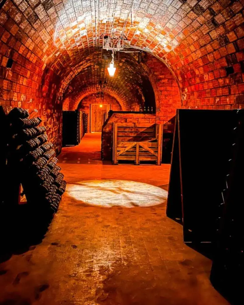 Champagne Michel Fagot, wine cellar.webp
