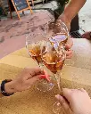 Michel Fagot Champagne, tasting.webp