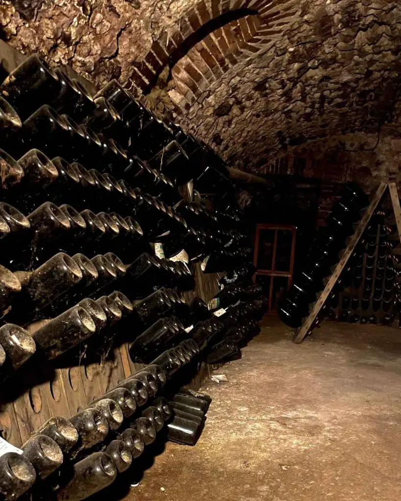 Champagne Julien Chopin, wine cellar.webp