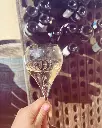 Champagne Julien Chopin, champagne tasting.webp