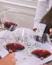 Chateau de Pommard horizontal tasting .webp
