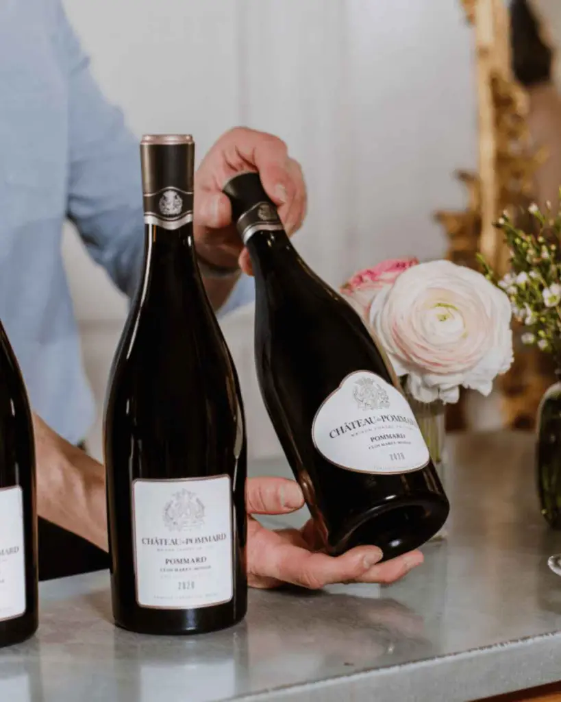 Chateau de Pommard tasting experience .webp