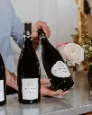Chateau de Pommard tasting experience .webp