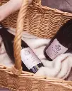 Pommard winery tasting experience .webp