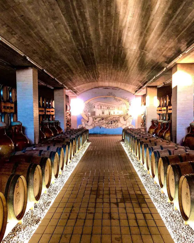 Antica Masseria Jorche, underground barrique cellar.webp