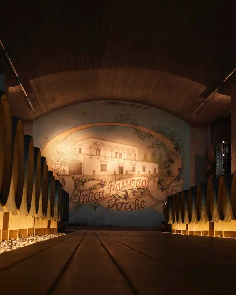 Antica Masseria Jorche, barrique cellar.webp