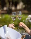 Chateau D'Astros, open-air wine tasting.webp