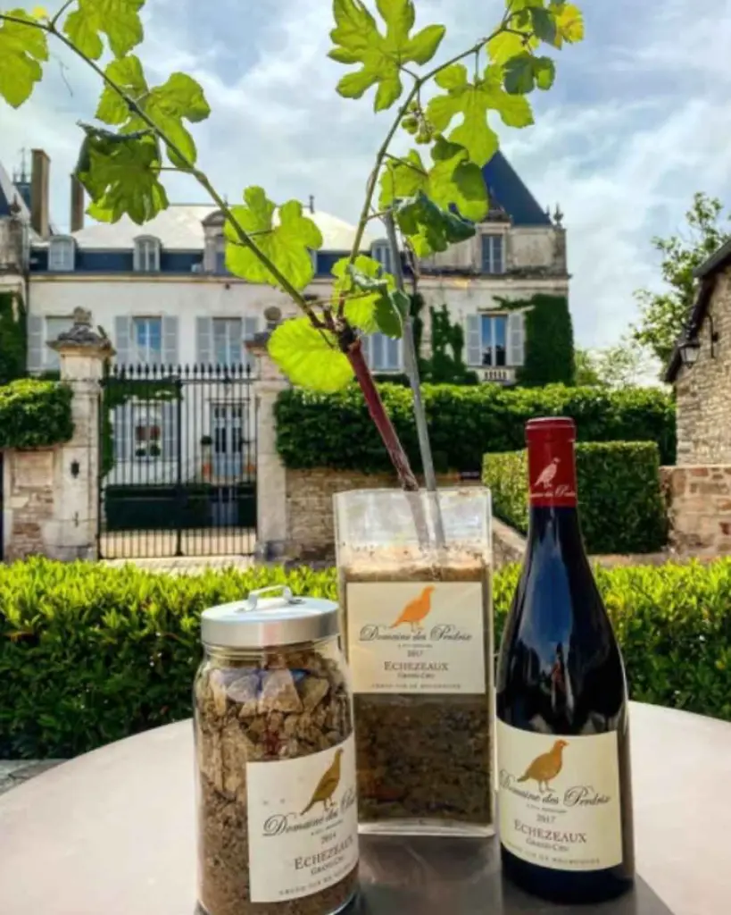 Château de Chamirey experience.webp