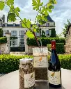 Château de Chamirey experience.webp