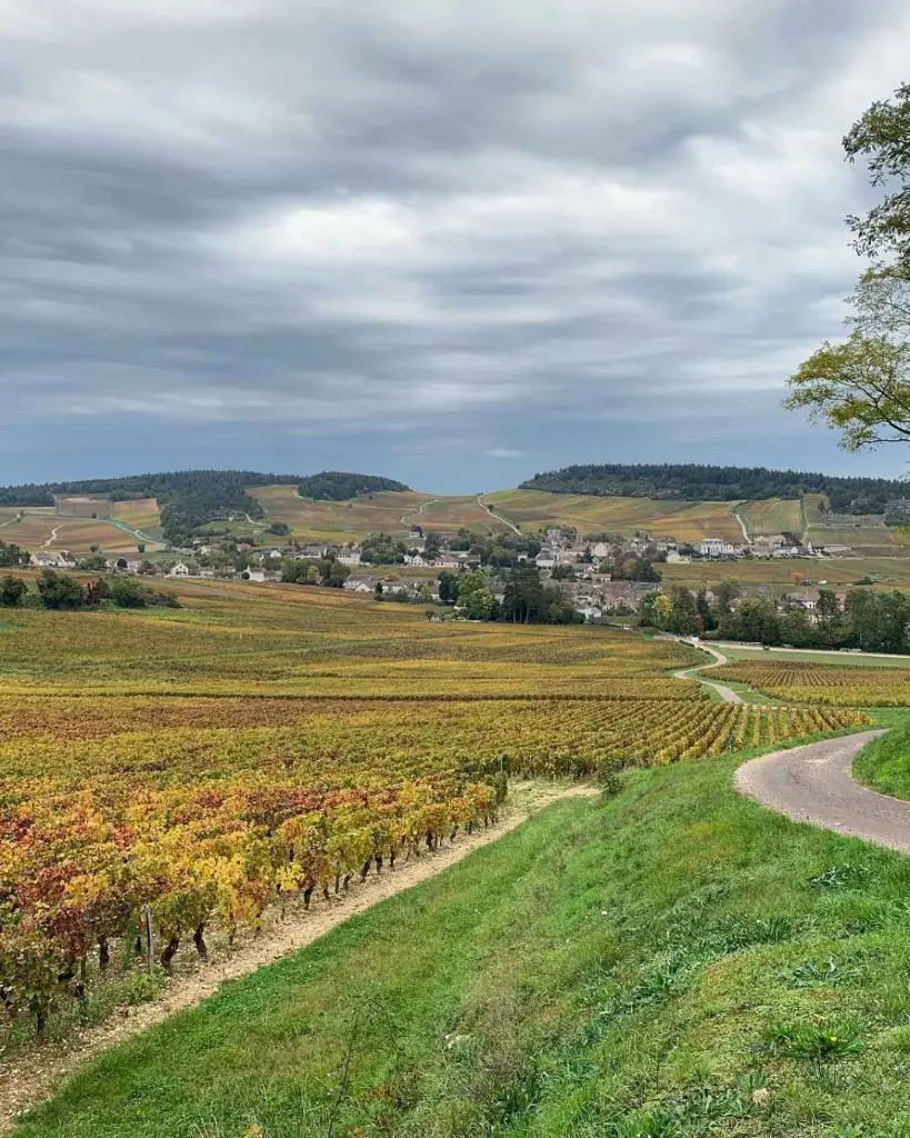 Château de Chamirey Burgundy .webp