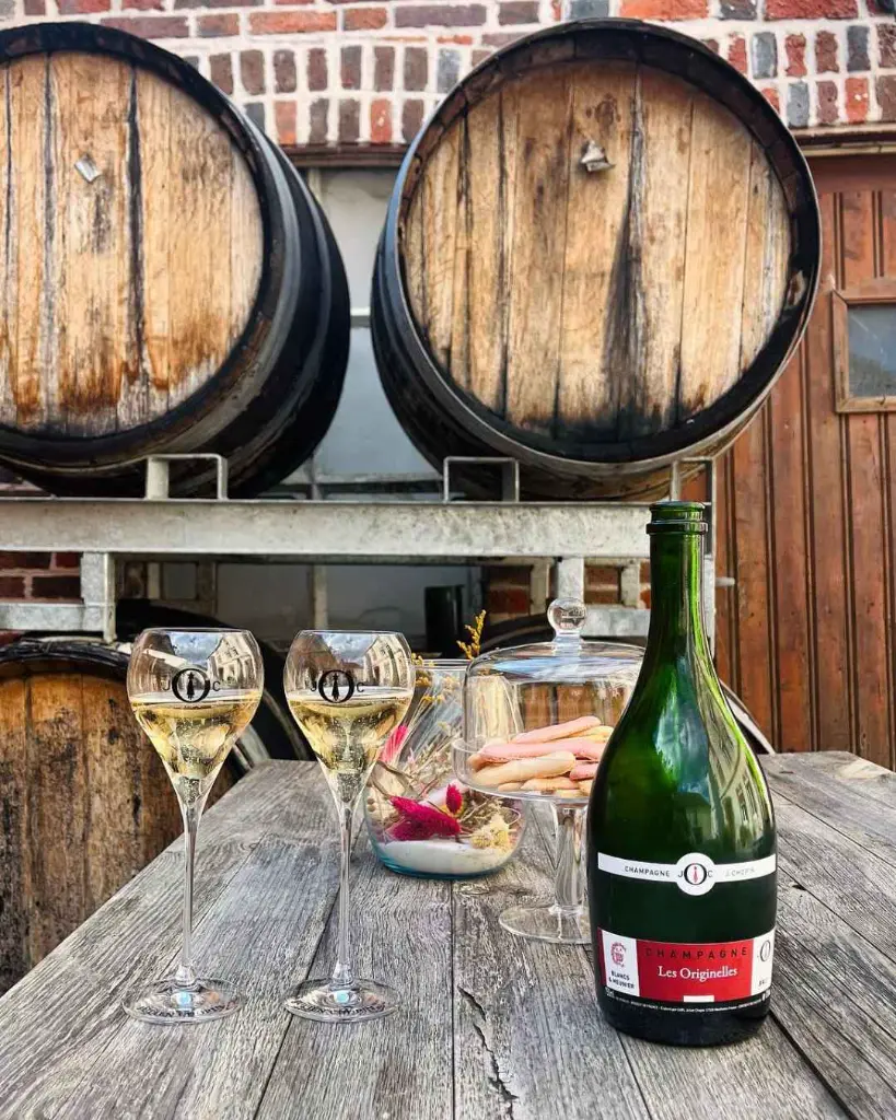 Domaine Julien Chopin, Wine tasting.webp