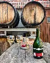 Domaine Julien Chopin, Wine tasting.webp