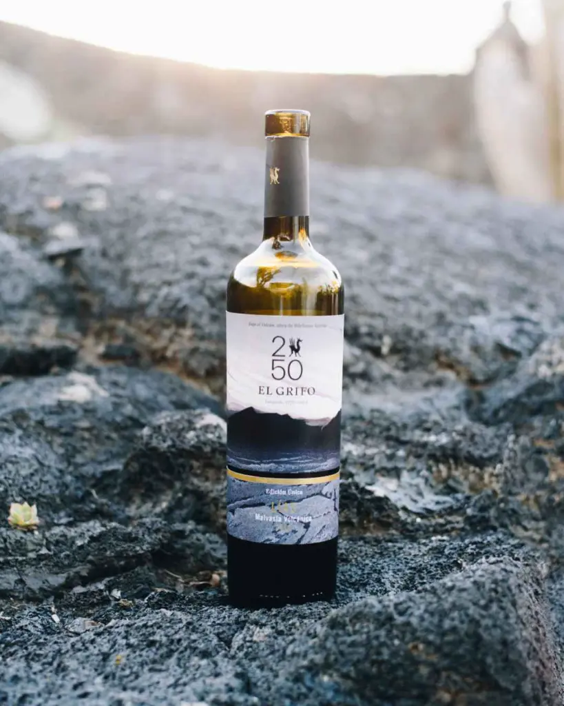 El grifo wine tasting.webp