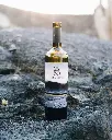 El grifo wine tasting.webp