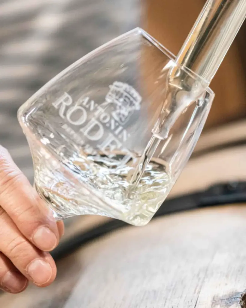 Antonin Rodet wine tasting.webp