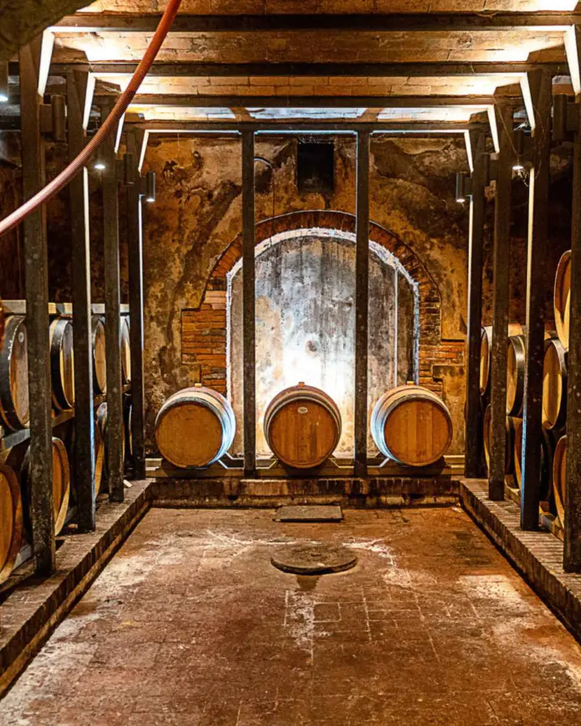 Gli Archi, barrique cellar.webp