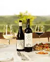 Castello Di Albola Tuscany winery local food and wine.webp