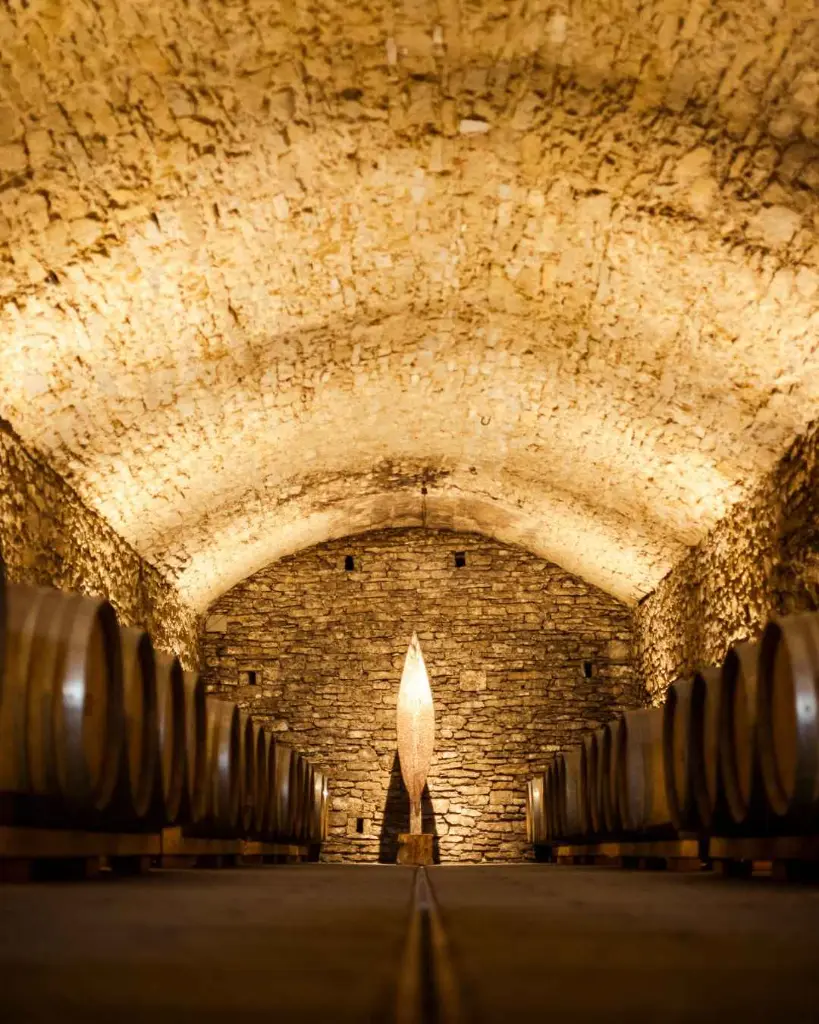 Castello di Albola wine cellar.webp