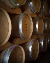 Domaine de Rombeau, aging cellar.webp