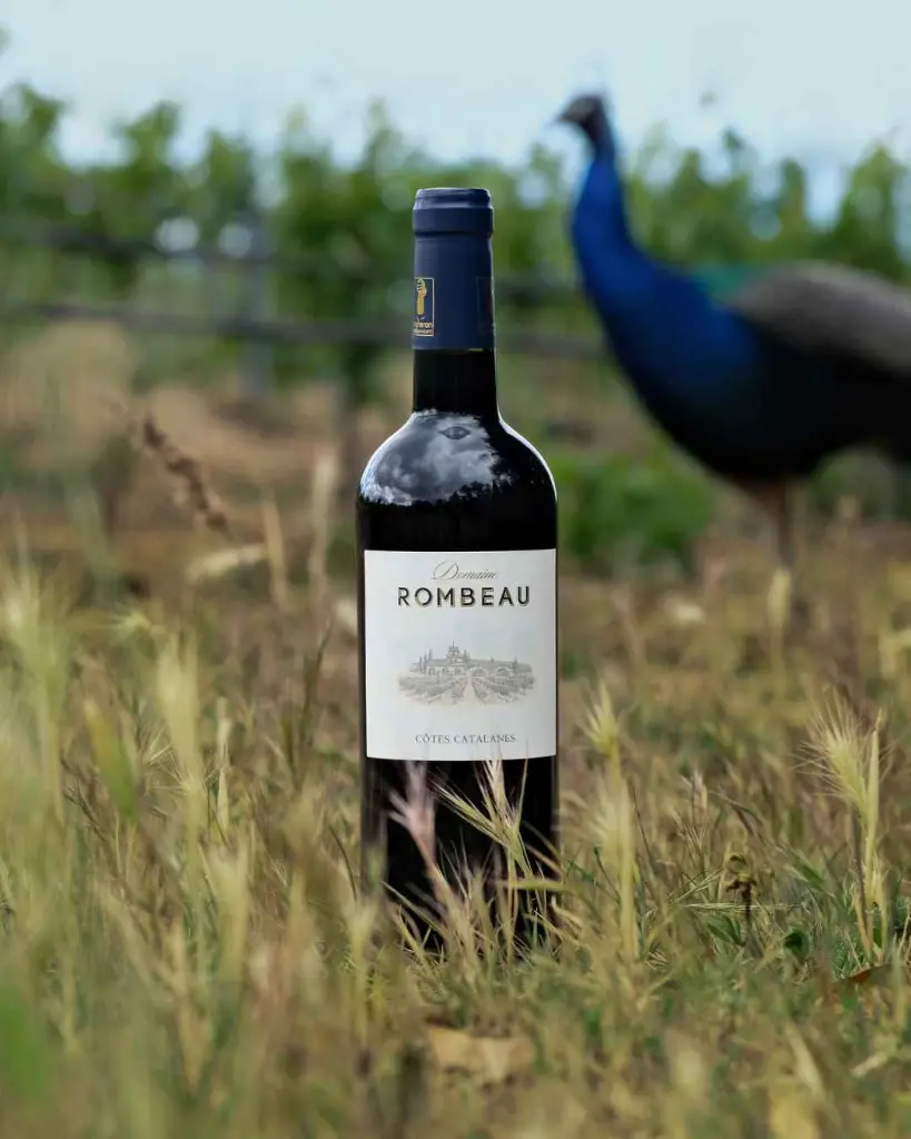 Domaine de Rombeau, wine tasting.webp