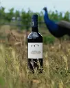 Domaine de Rombeau, wine tasting.webp