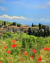 Castello di Fonterutoli, Tuscany, Italy.webp
