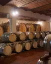 Castello di Fonterutoli, aging cellar.webp