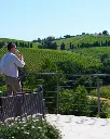 Castello di Fonterutoli, wine tour.webp