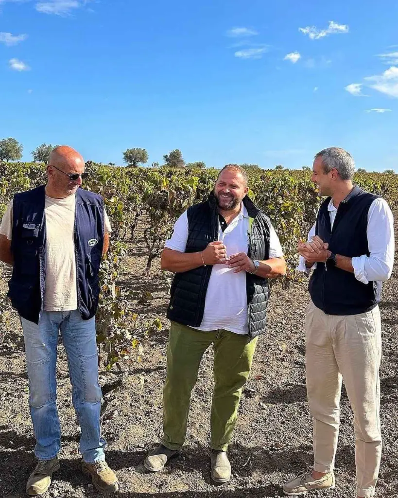 Feudo Maccari vineyard tour.webp
