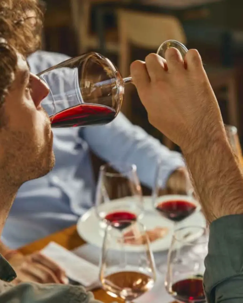 Castello Di Radda experience tasting wines.webp
