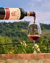 Castello Di Radda red wine tasting.webp