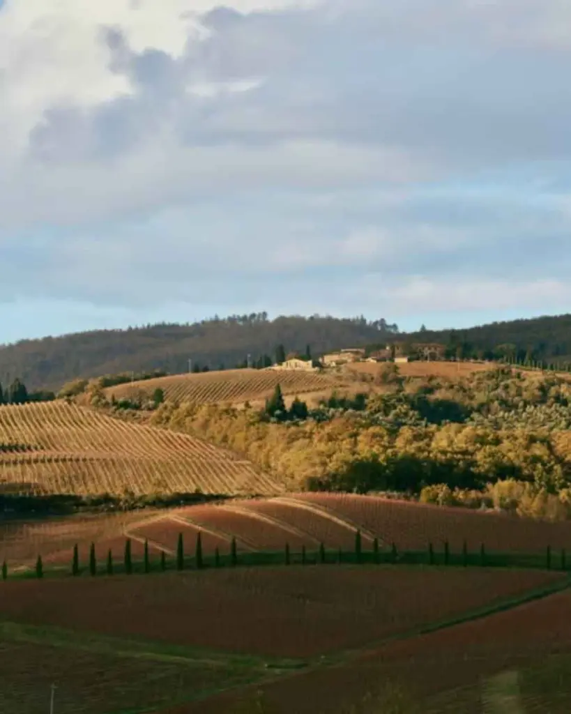 Castello Di Radda Tuscany landscape.webp