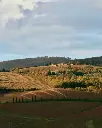 Castello Di Radda Tuscany landscape.webp