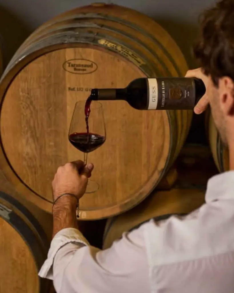 Castello Di Radda wine cellar tasting.webp
