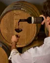 Castello Di Radda wine cellar tasting.webp