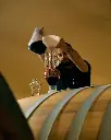 Castello Radda Tuscany cellar production.webp