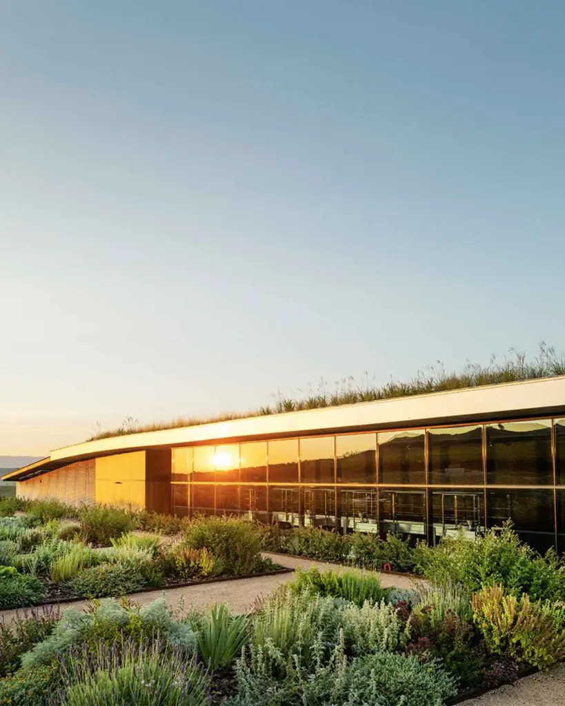 Beronia Rioja winery sunset.webp