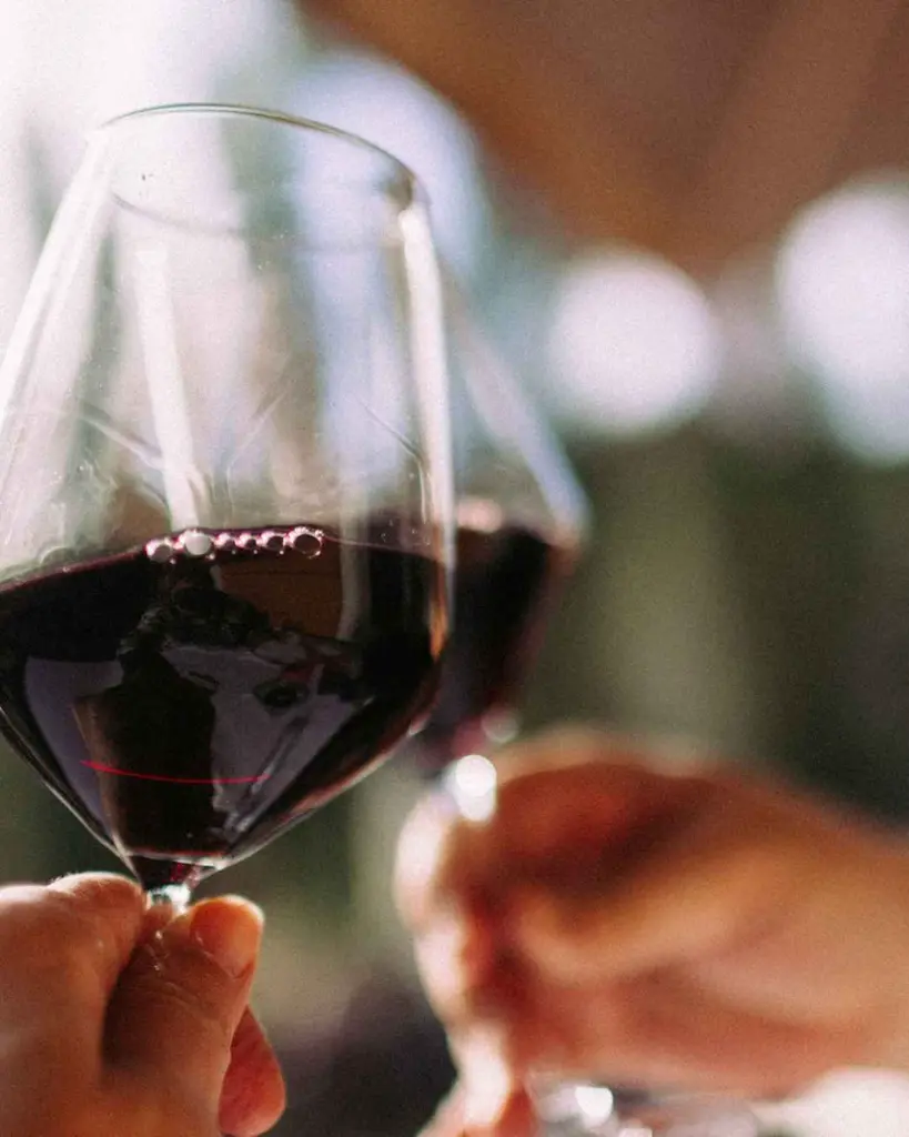 Beronia winery red wine tasting.webp