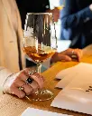 Fattoria LaTorre, tasting experience.webp
