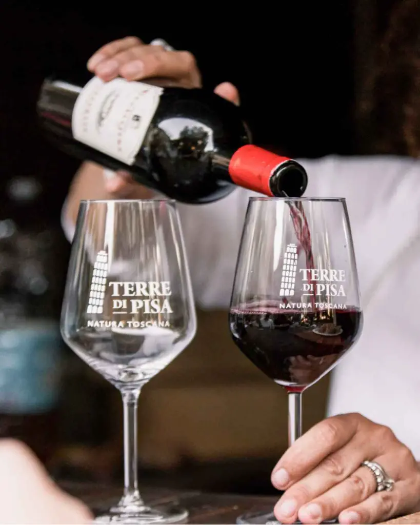 Fattoria Uccelliera, red wine tasting.webp